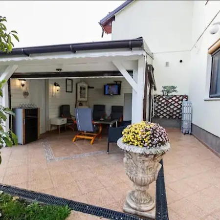 Gold * Тимишоара