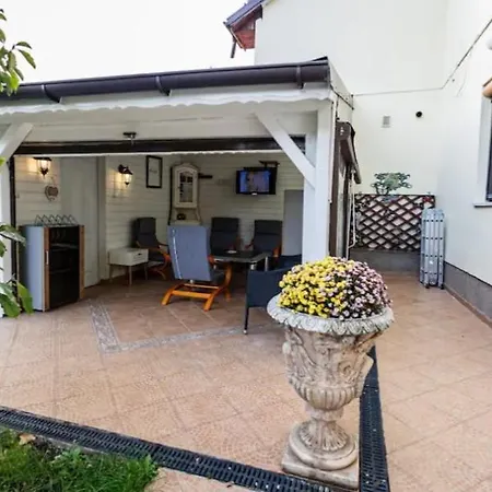 Gold Тимишоара