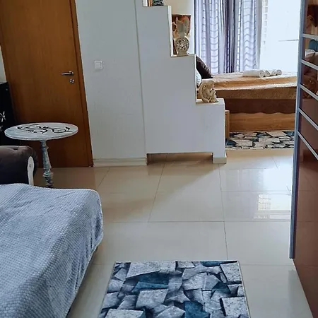 Gold Тимишоара